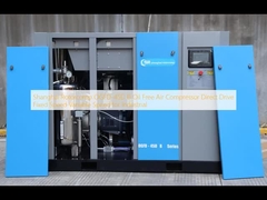 Shanghai Rotorcomp OGFD-45D B Oil Free Air Compressor Direct Drive Fixed Speed Variable Speed for Industrial